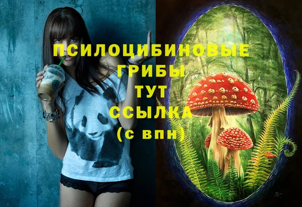 mix Баксан