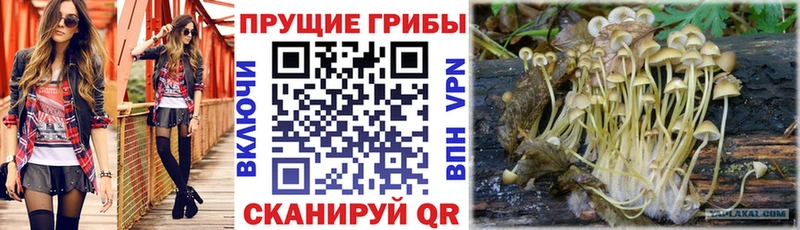 гидра tor  Бодайбо  Псилоцибиновые грибы ЛСД 